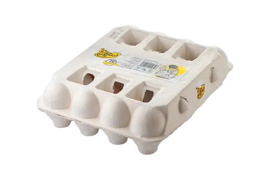 طبق 20 بيضة