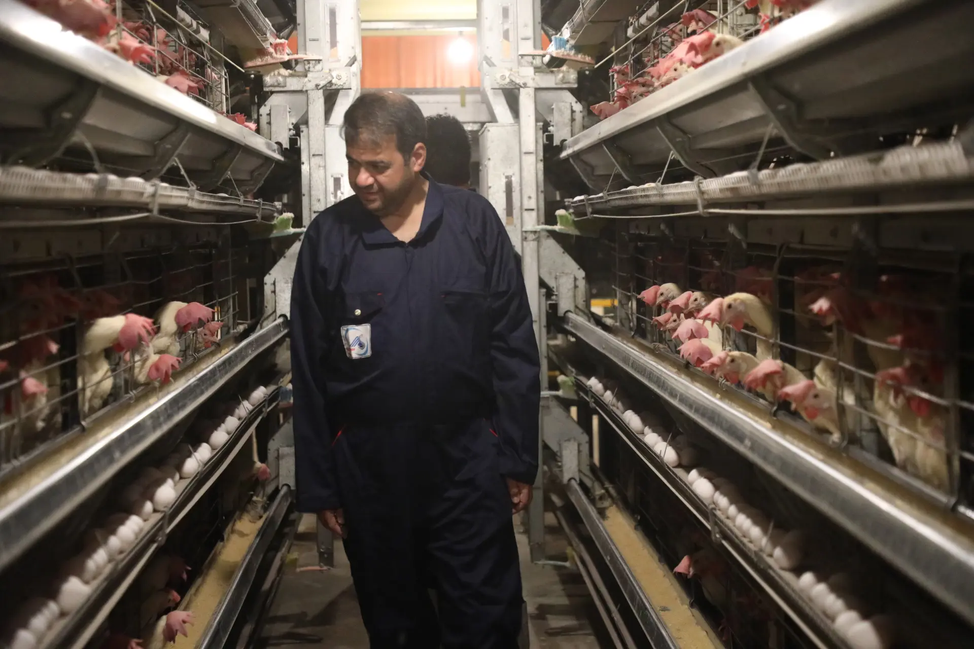 بازدید یزد - 01