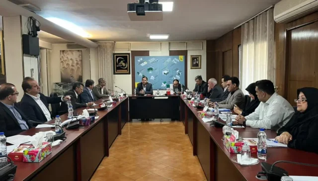 قائممقام مدیرعامل در امور شرکتها و معاون تولید سیمرغ معرفی شدند