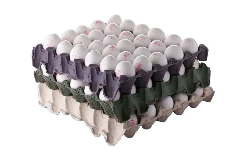 شانه ۳۰ عددی سیمرغ